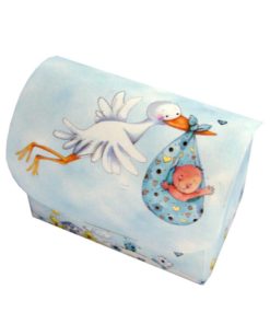 Caixa Cegonha Menino